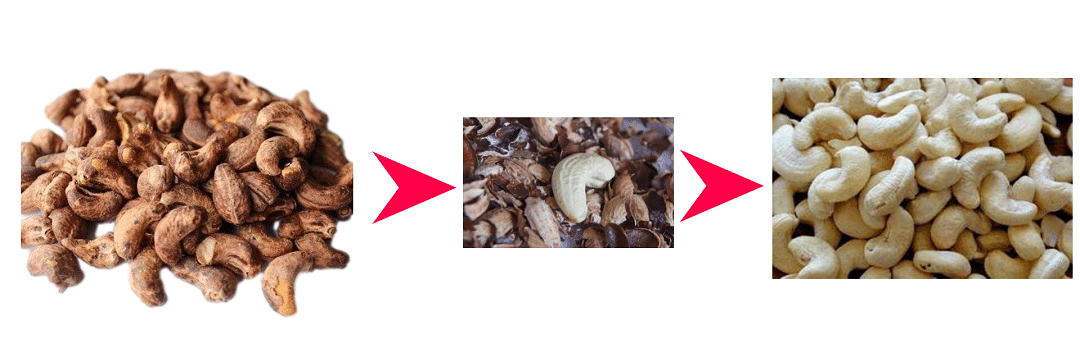 Cashew Peeling Machine | Automatic Testa Peeler