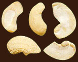 Large White Pieces (LWP)