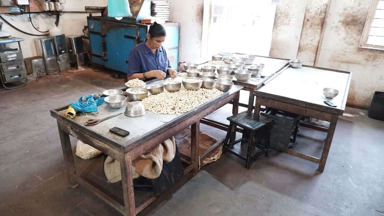 A cashew processing room laid out with work tables and drying equipment