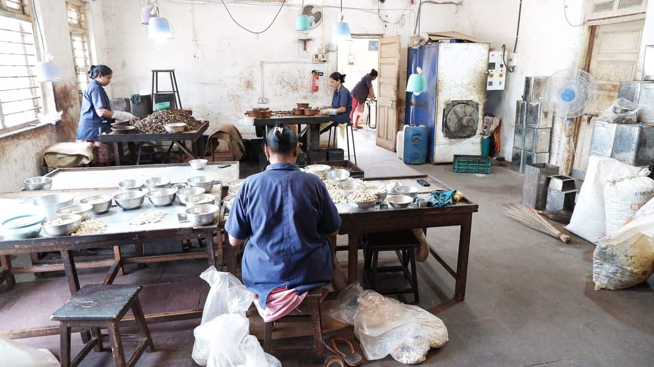Inside a cashew processing floor, with sorting tables and drying equipment